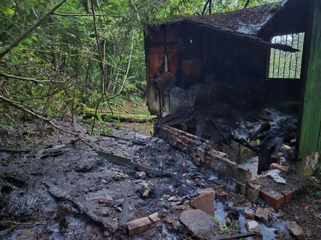 F 1 Wald 2024 005