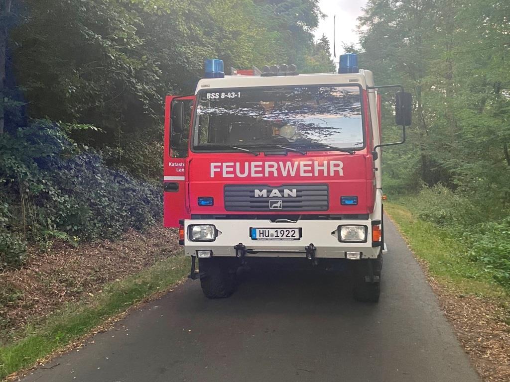 F 1 Wald 2024 010