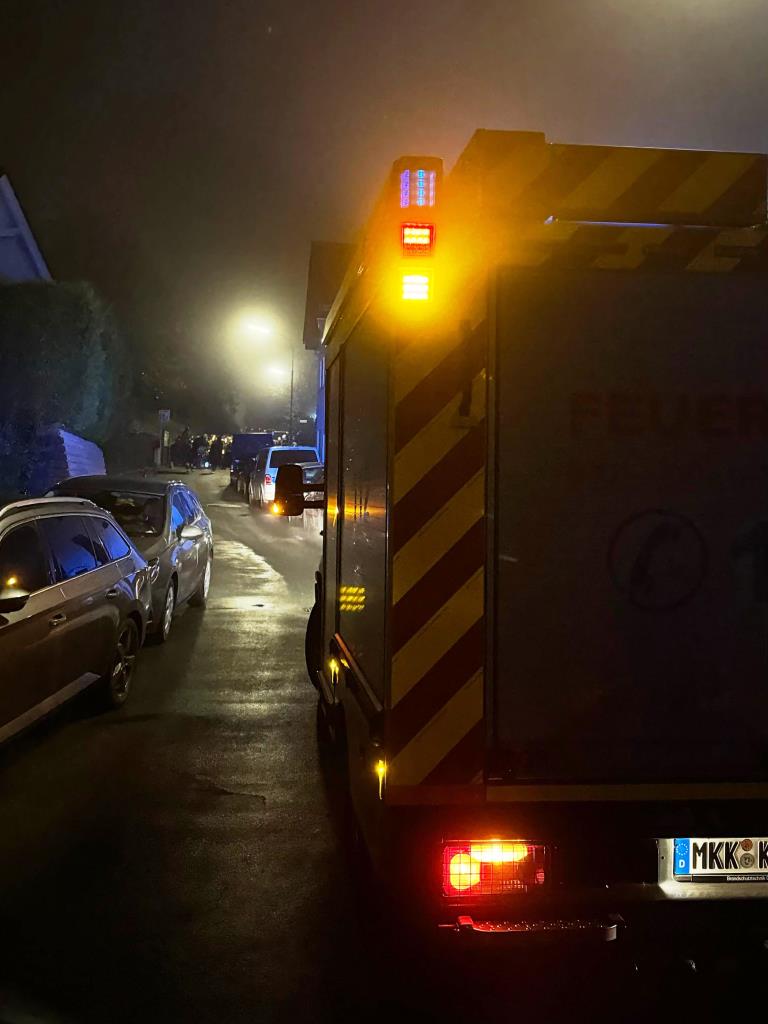 FF Kerbersdorf Sankt Martins Umzug 2024 003