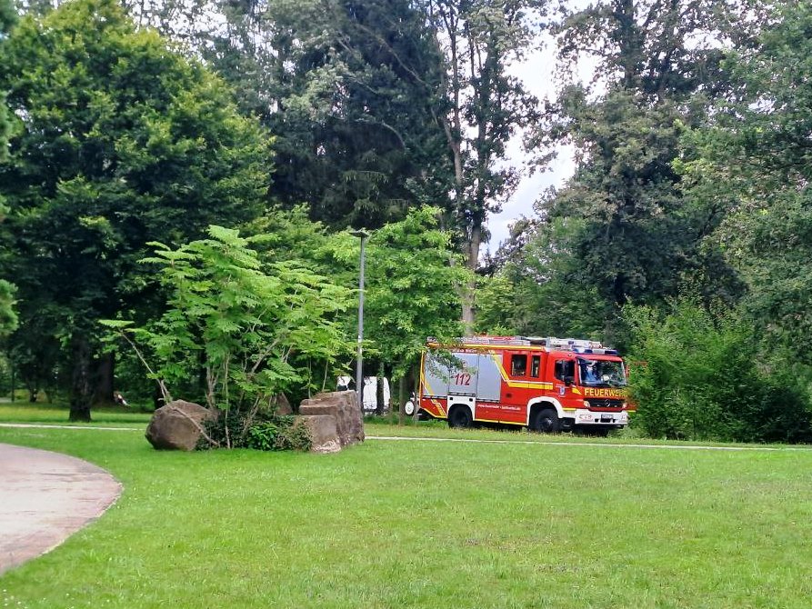 H 1 Droht Baum zu fallen 2024 003