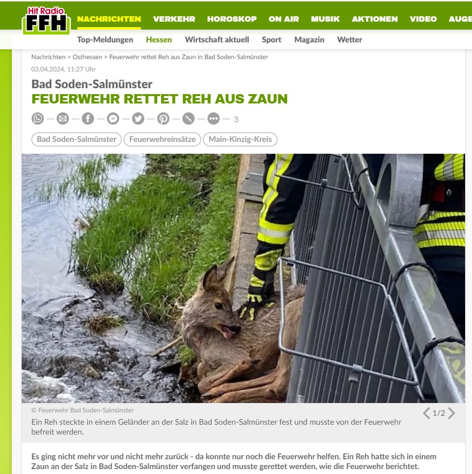 H 1 Tierrettung 2024 012