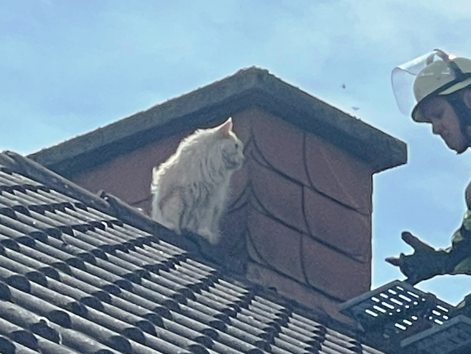 H 1 Tierrettung 2024 020