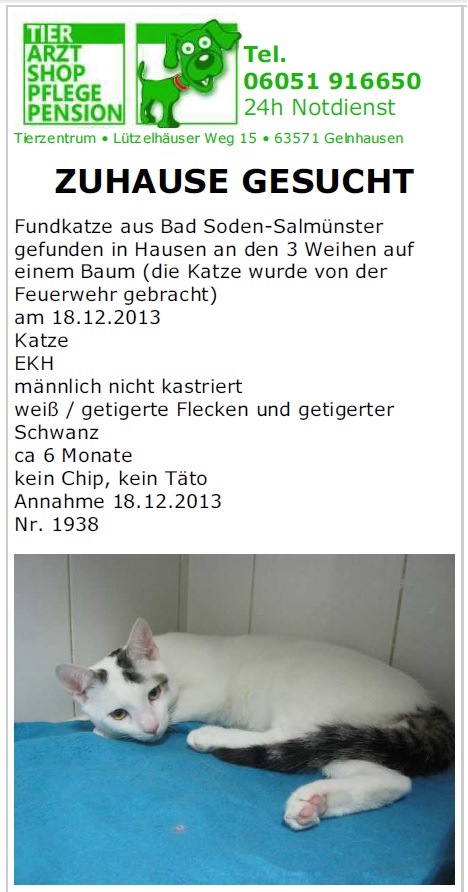 Fundkatze_2013-001