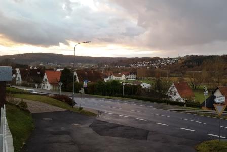 Geflügelpest 2016 001