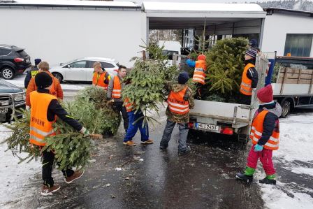 JF Mernes Weihnachtsbaum Aktion 2017 005