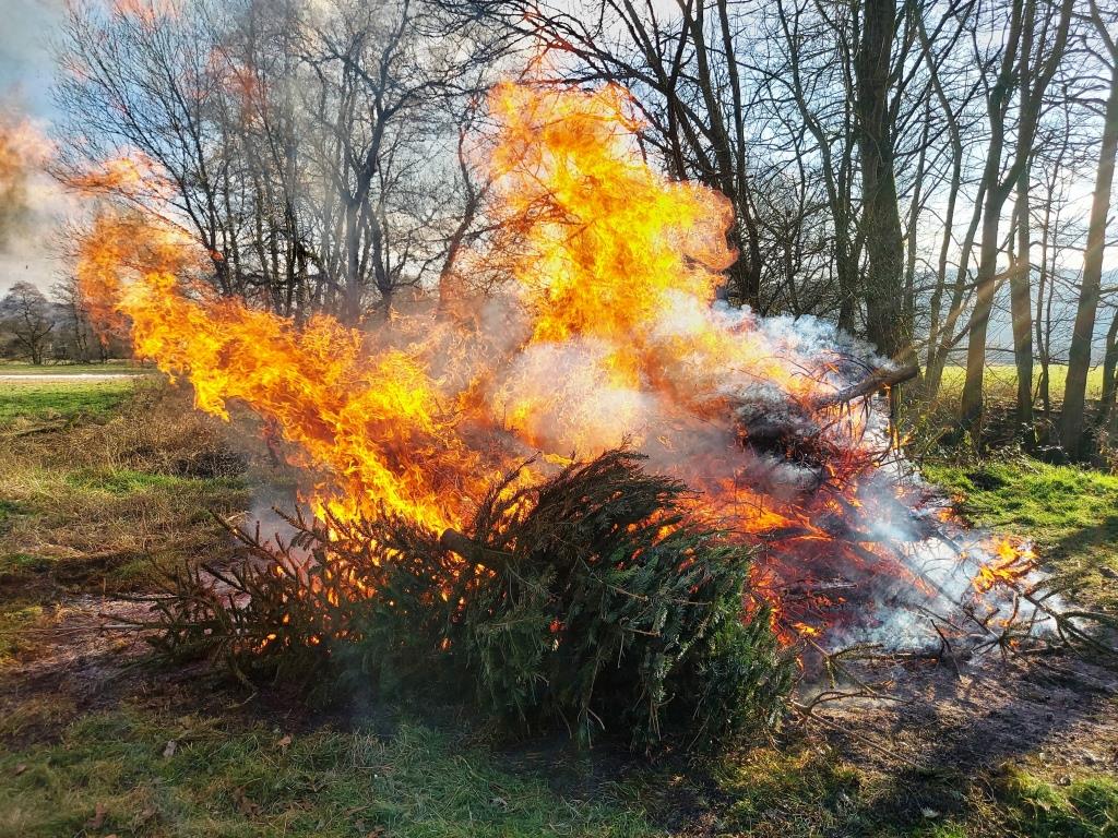 JF BSS Weihnachtsbaum Einsammeln 2025 008