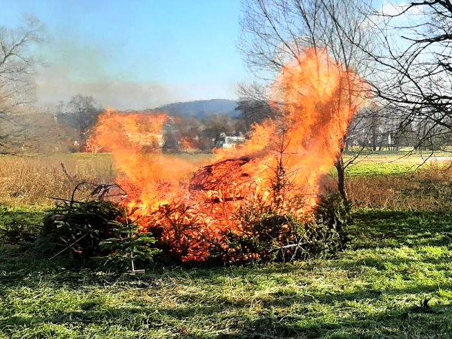 JF BSS Weihnachtsbaum Einsammeln 2025 019