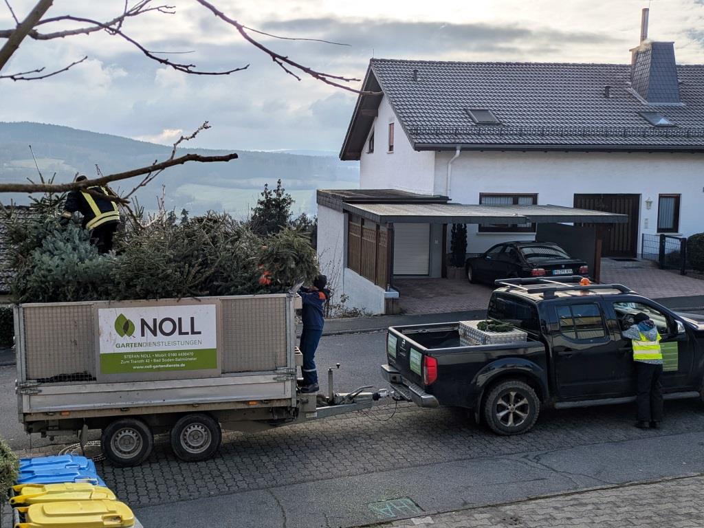 JF BSS Weihnachtsbaum Einsammeln 2025 034