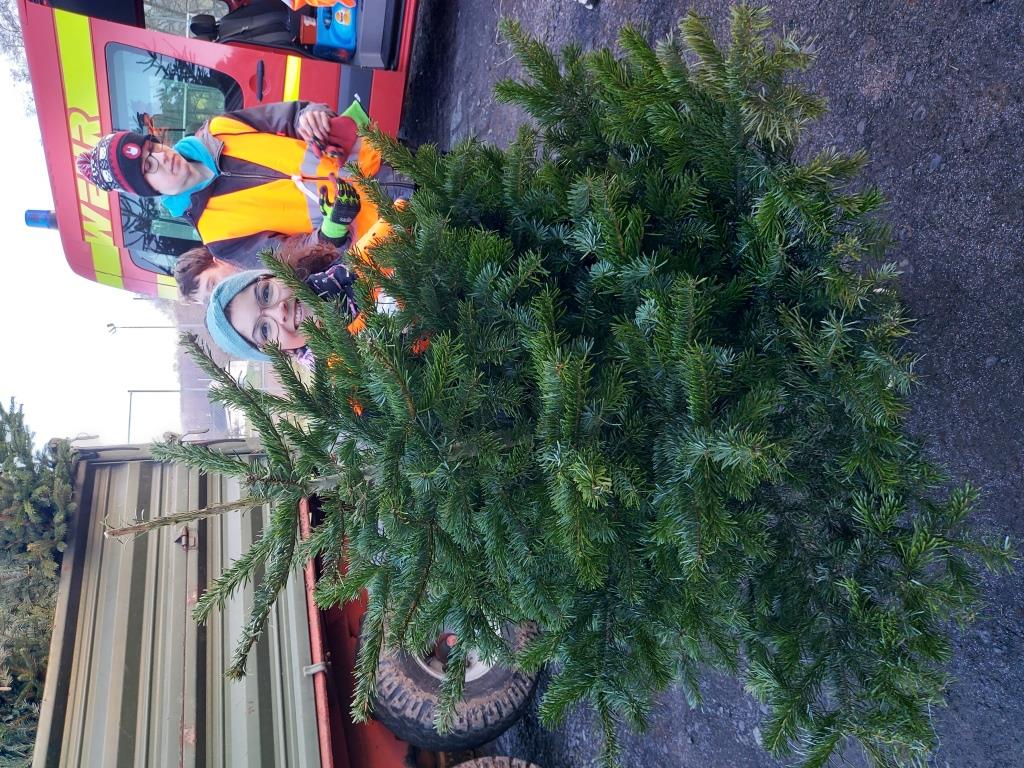 JF BSS Weihnachtsbaum Einsammeln 2025 047