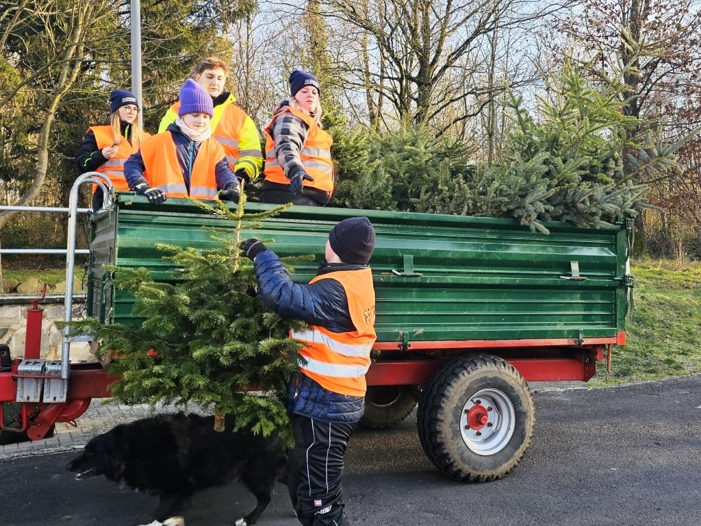 JF BSS Weihnachtsbaum Einsammeln 2025 055