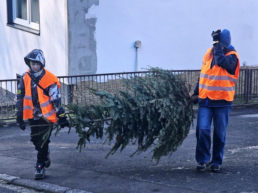 JF BSS Weihnachtsbaum Einsammeln 2025 057