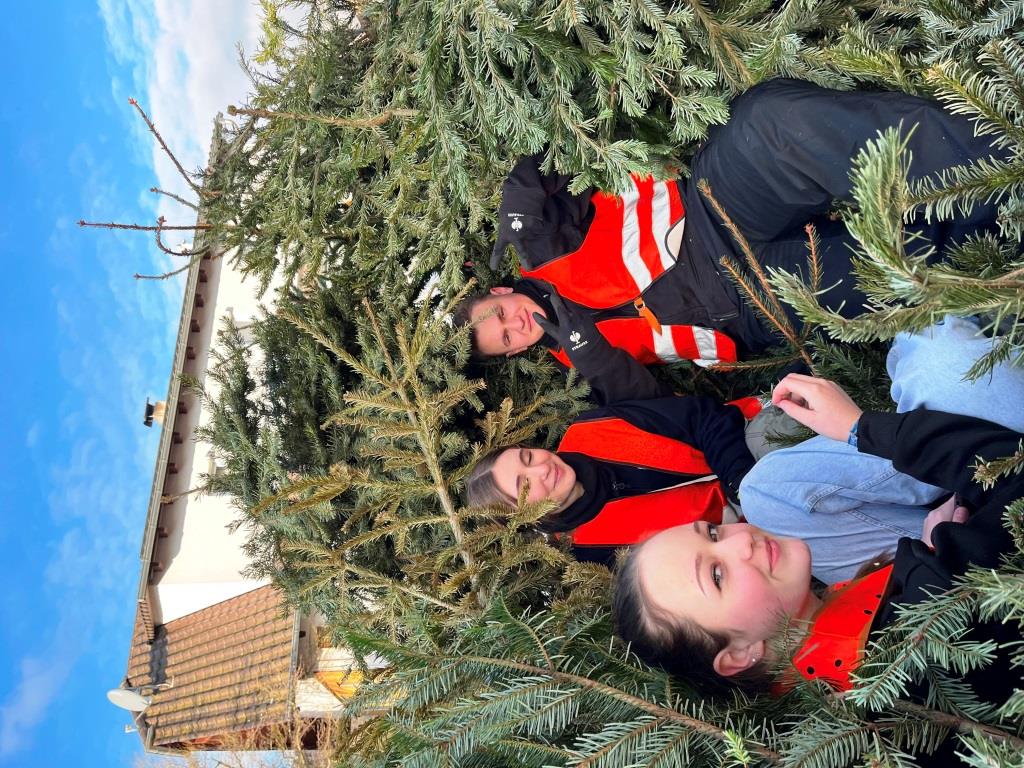 JF BSS Weihnachtsbaum Einsammeln 2025 070