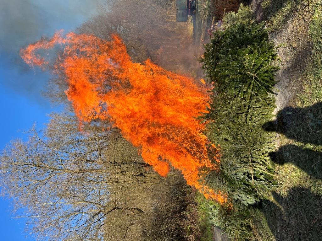 JF BSS Weihnachtsbaum Einsammeln 2025 071