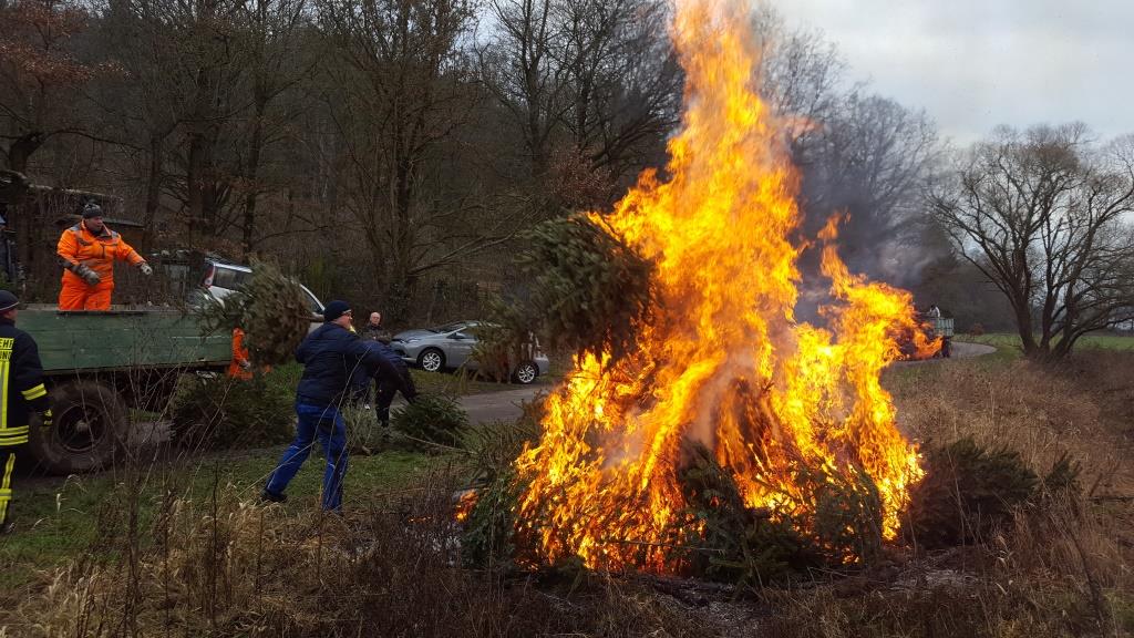 JF Aktion Weihnachtsbaum Einsammeln 2018 001