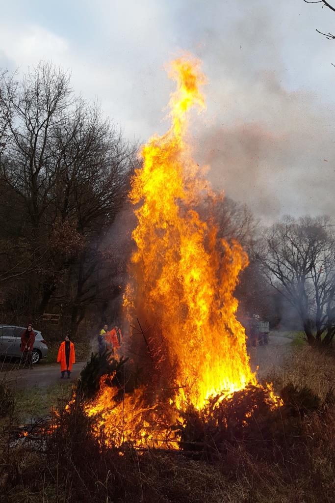 JF Aktion Weihnachtsbaum Einsammeln 2018 002