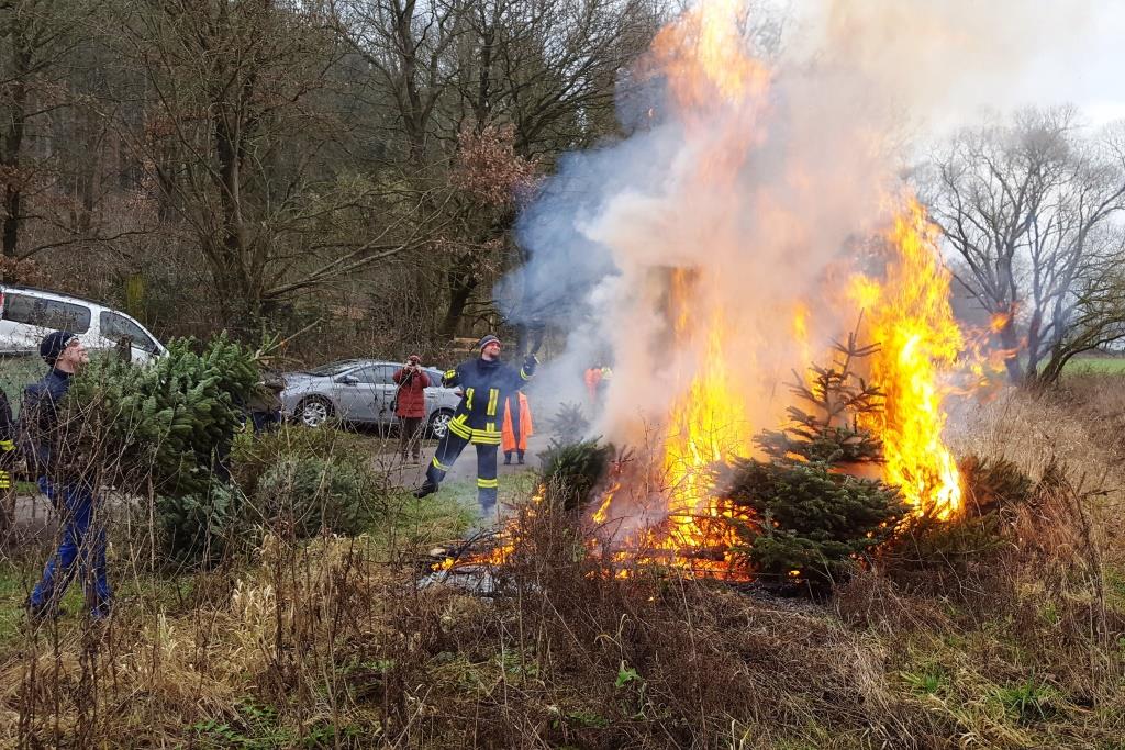 JF Aktion Weihnachtsbaum Einsammeln 2018 003
