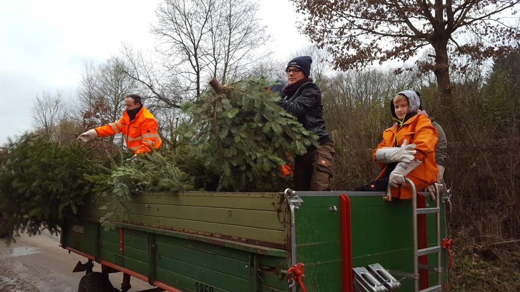 JF Aktion Weihnachtsbaum Einsammeln 2018 006
