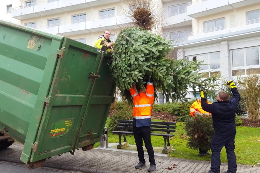JF Aktion Weihnachtsbaum Einsammeln 2018 012