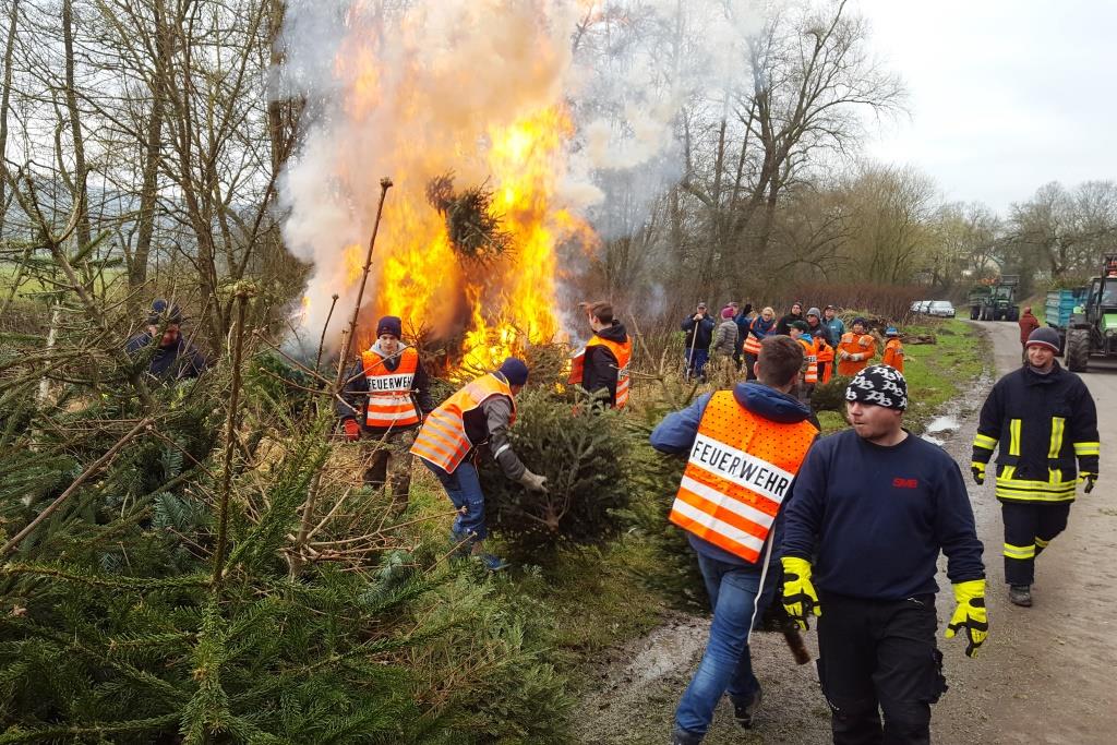 JF Aktion Weihnachtsbaum Einsammeln 2018 014