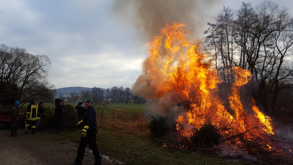 JF Aktion Weihnachtsbaum Einsammeln 2018 015