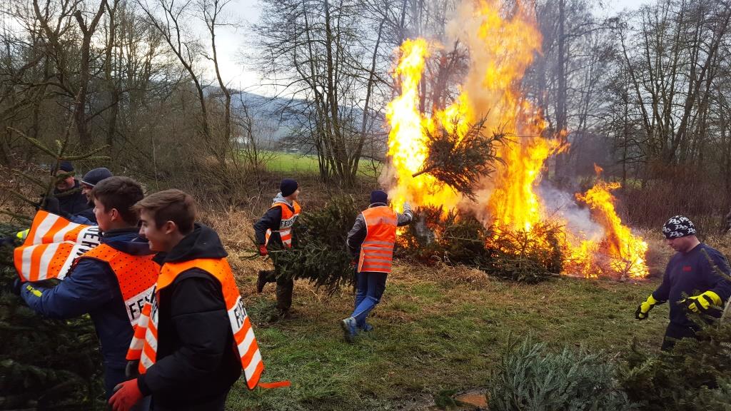 JF Aktion Weihnachtsbaum Einsammeln 2018 016
