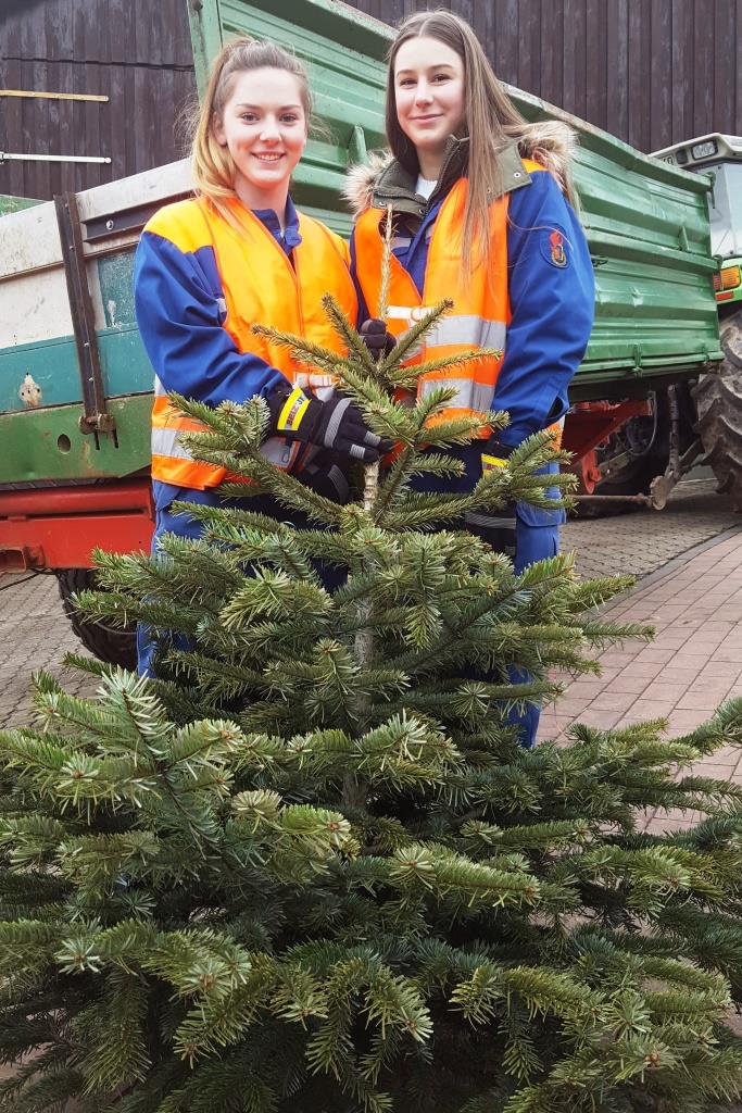 JF Aktion Weihnachtsbaum Einsammeln 2018 019