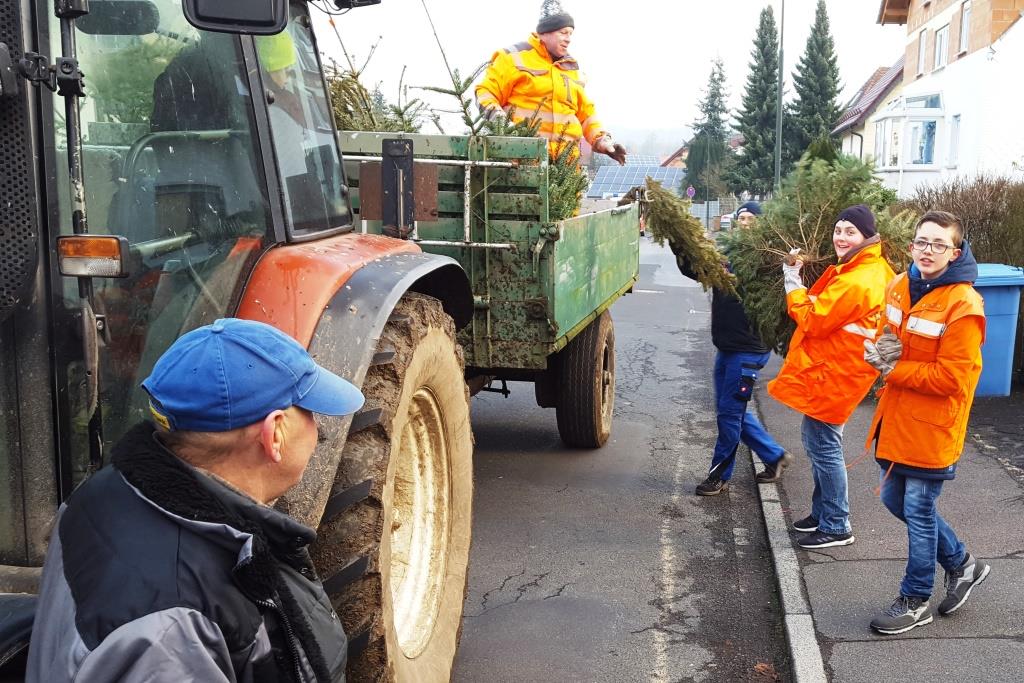JF Aktion Weihnachtsbaum Einsammeln 2018 026