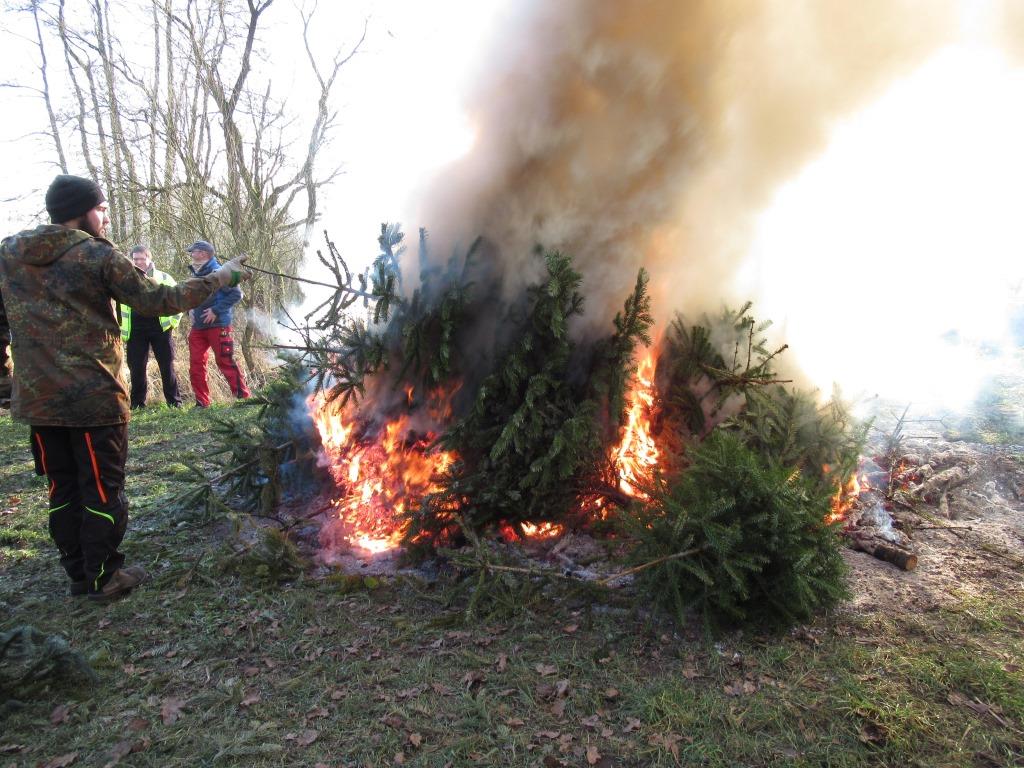 JF BSS Weihnachtsbaum Einsammeln 2020 003