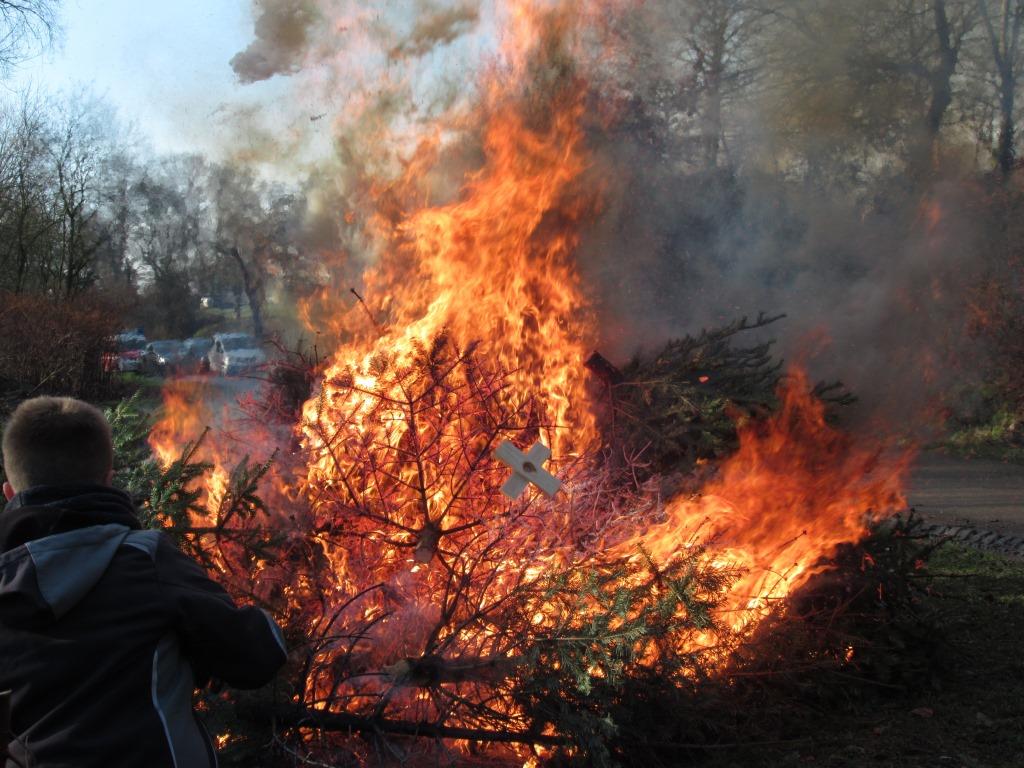 JF BSS Weihnachtsbaum Einsammeln 2020 004