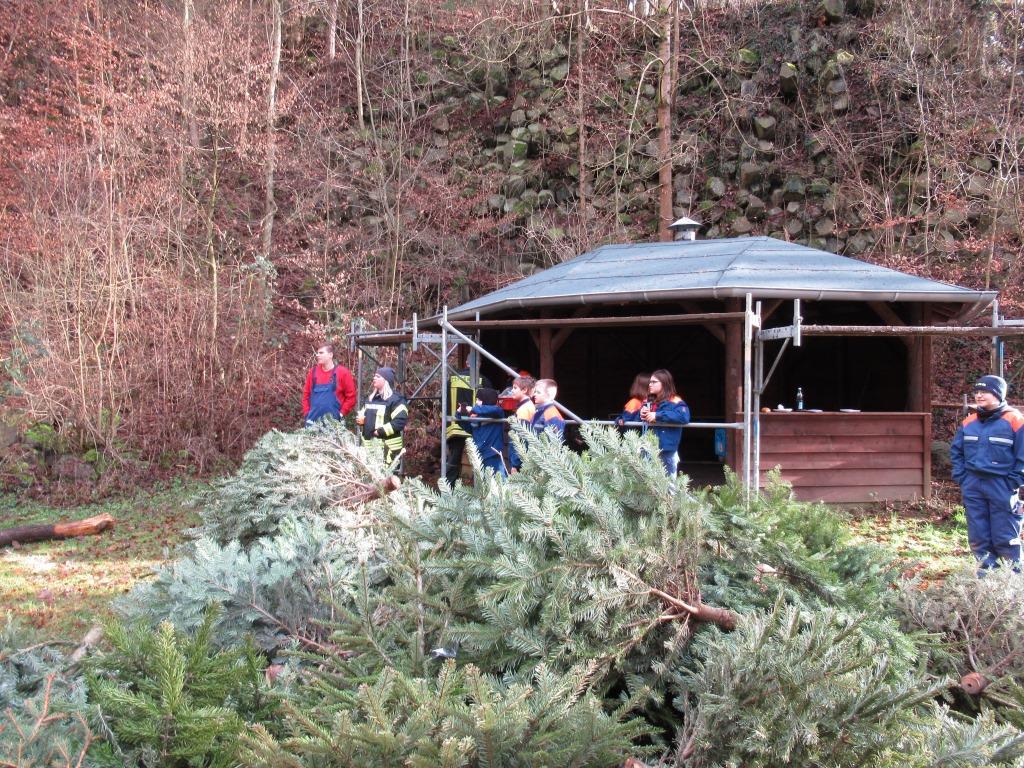 JF BSS Weihnachtsbaum Einsammeln 2020 021