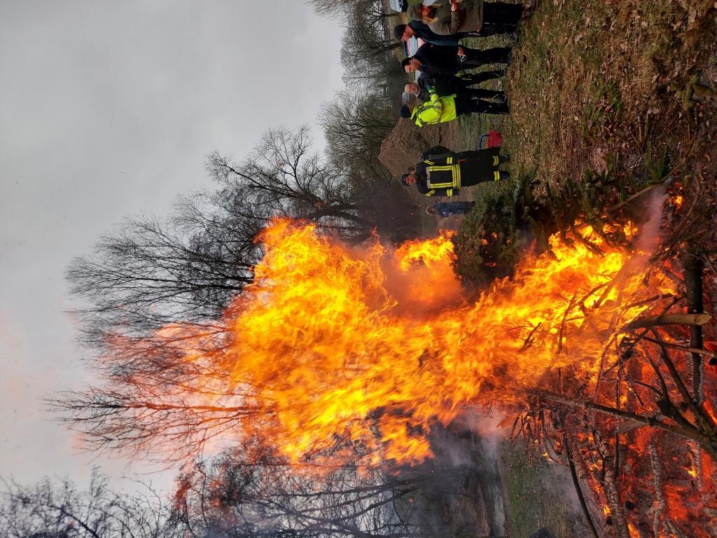 JF BSS Weihnachtsbaum Einsammeln 2024 005
