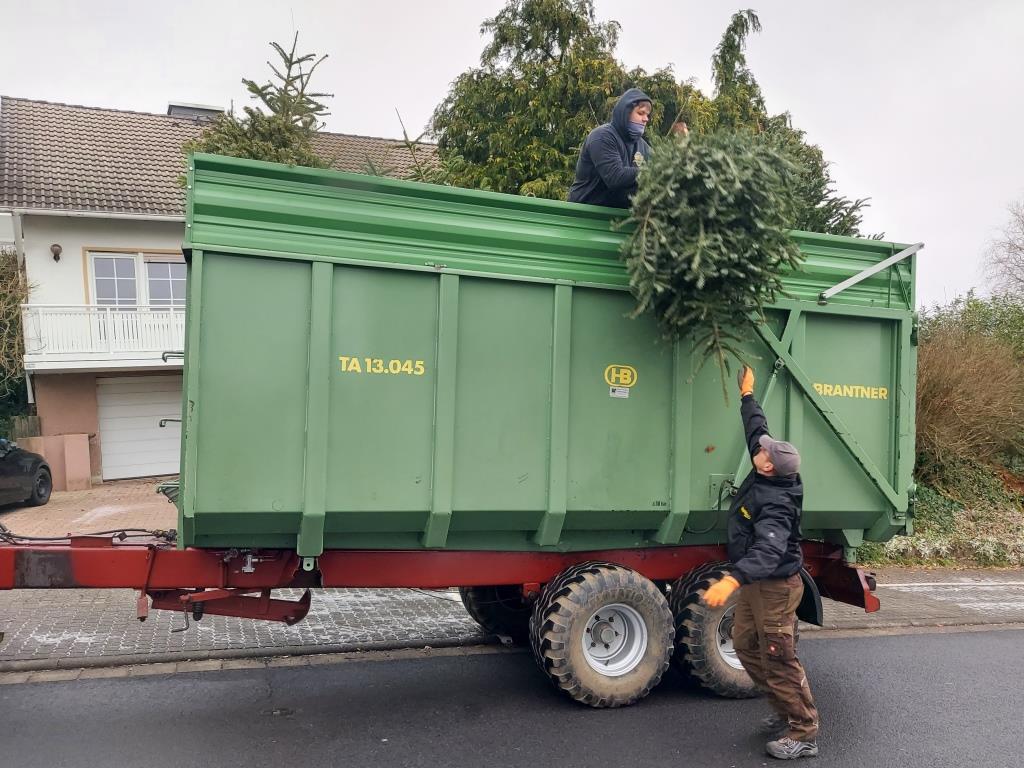 JF BSS Weihnachtsbaum Einsammeln 2024 028