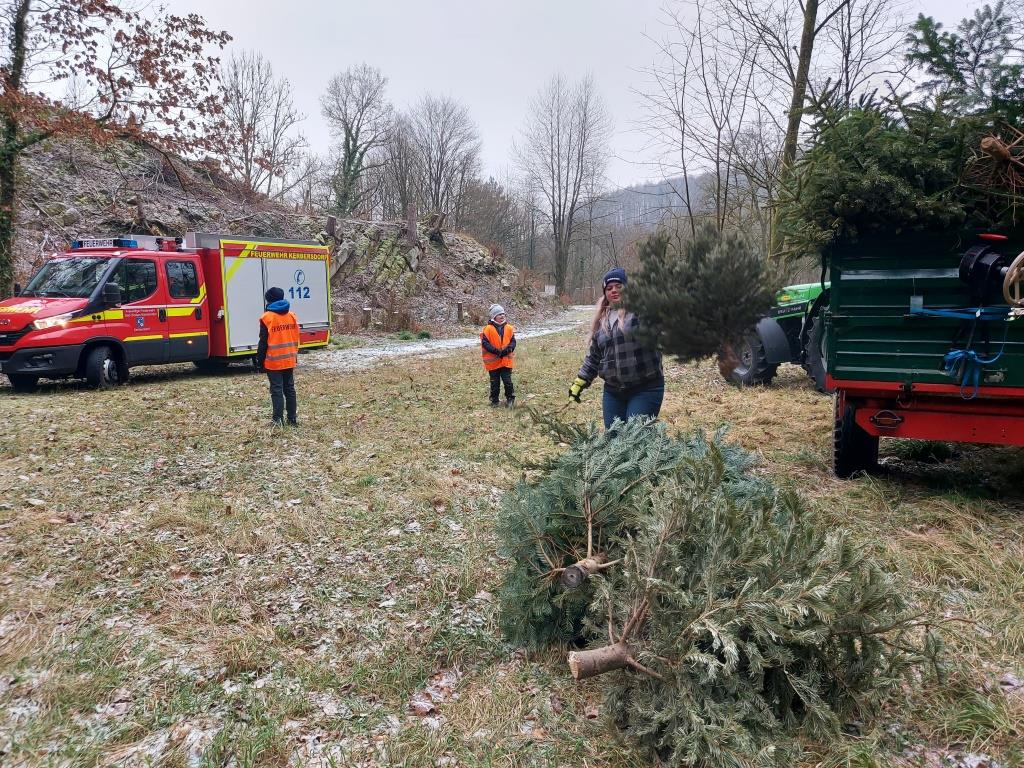 JF BSS Weihnachtsbaum Einsammeln 2024 034