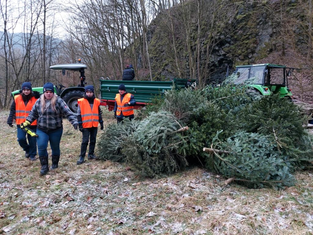 JF BSS Weihnachtsbaum Einsammeln 2024 036