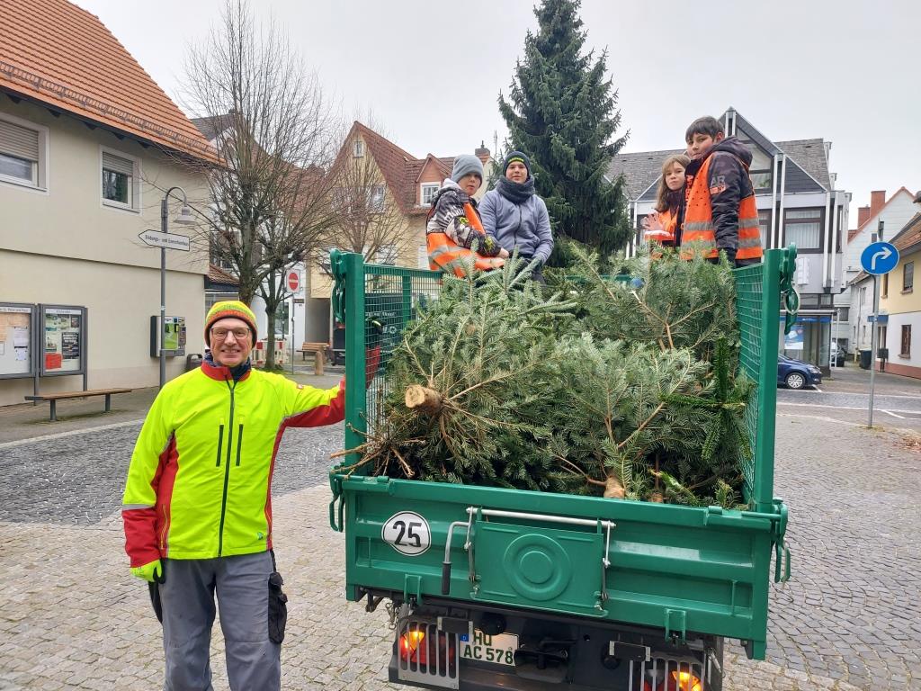 JF BSS Weihnachtsbaum Einsammeln 2024 047