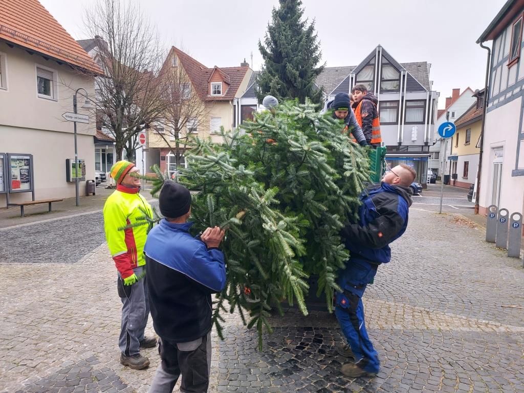 JF BSS Weihnachtsbaum Einsammeln 2024 048