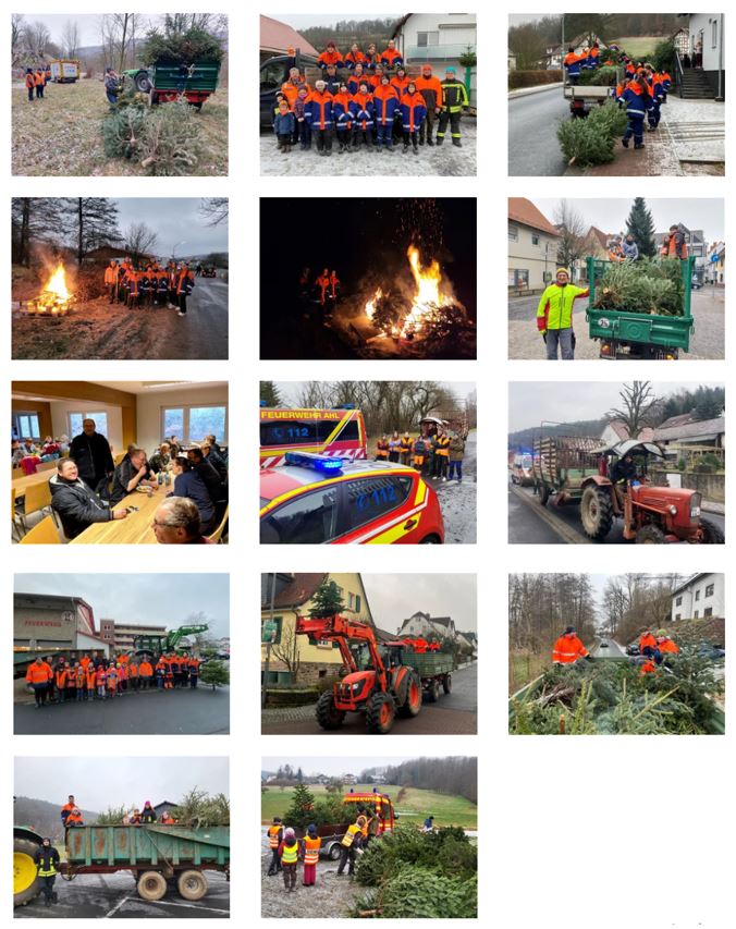 JF BSS Weihnachtsbaum Einsammeln 2024 052