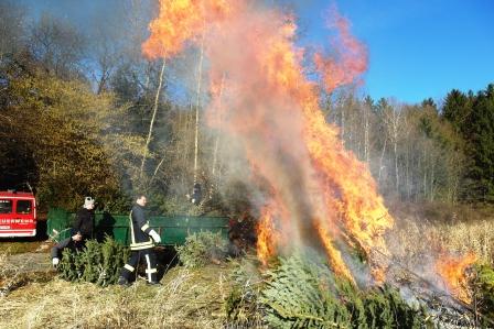 JF_BSS_-_Weihnachtsbaum-Einsammeln_2013-001