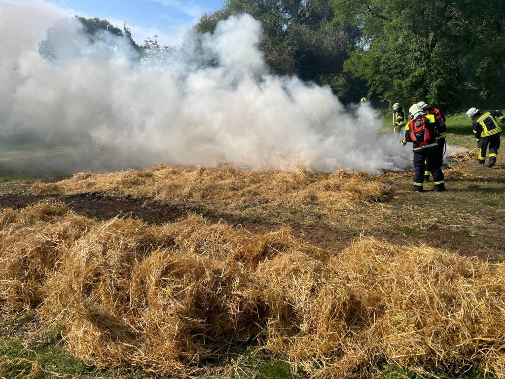 FF MKK Fb Seminar Wald und Vegetationsbrand 2024 085