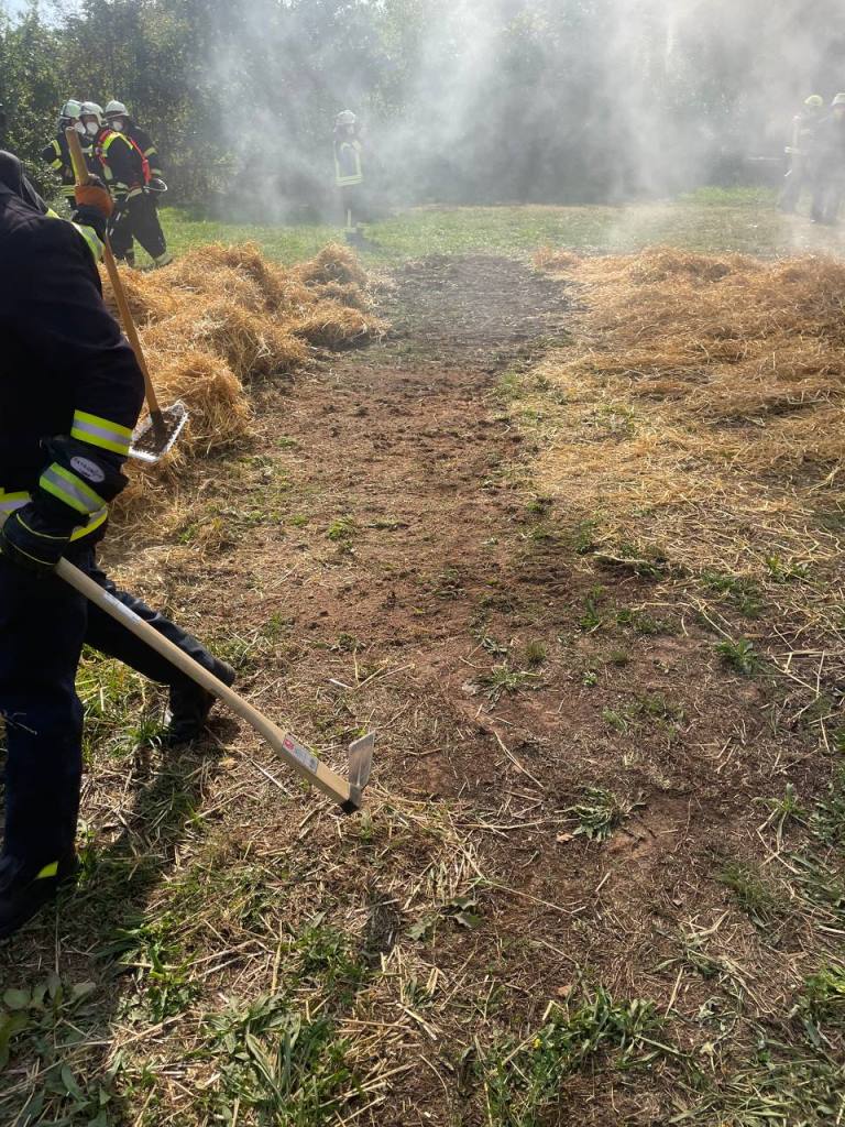 FF MKK Fb Seminar Wald und Vegetationsbrand 2024 086