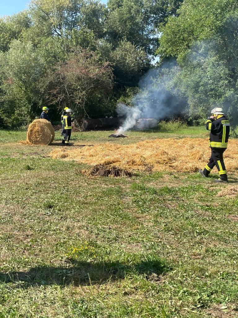 FF MKK Fb Seminar Wald und Vegetationsbrand 2024 087