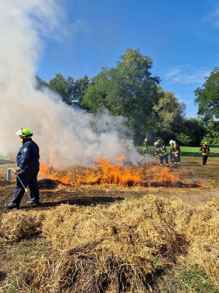 FF MKK Fb Seminar Wald und Vegetationsbrand 2024 094