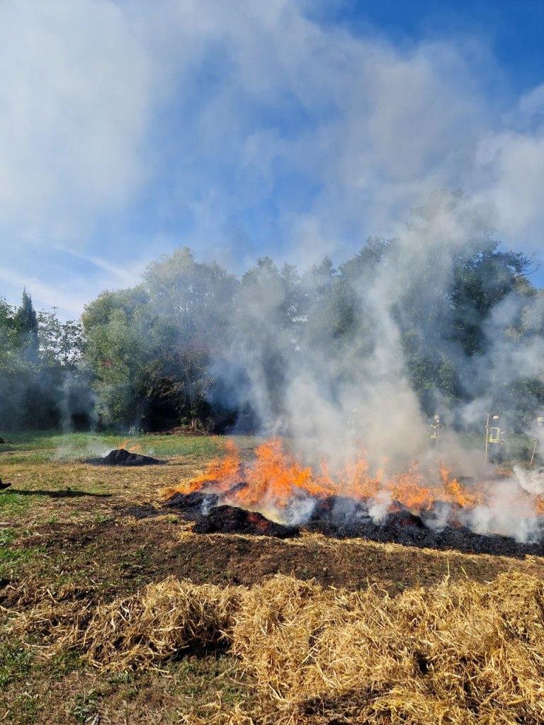 FF MKK Fb Seminar Wald und Vegetationsbrand 2024 095