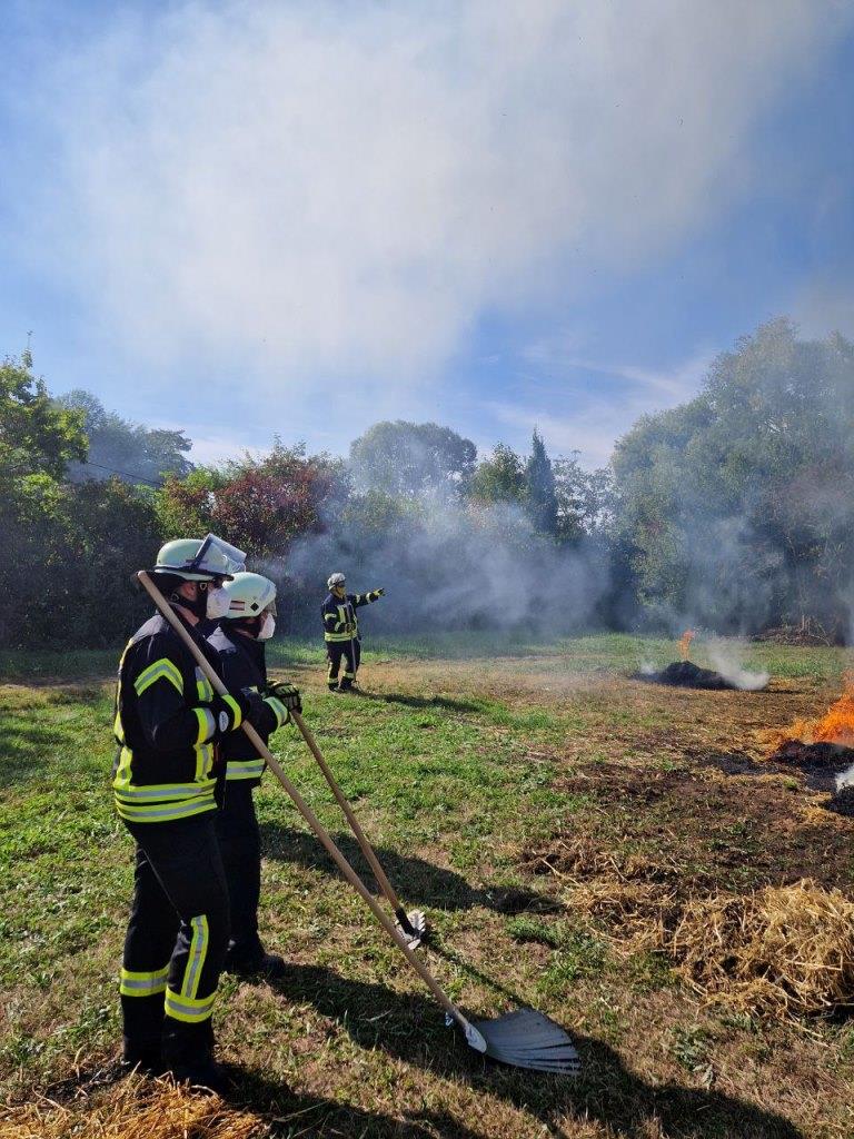 FF MKK Fb Seminar Wald und Vegetationsbrand 2024 096
