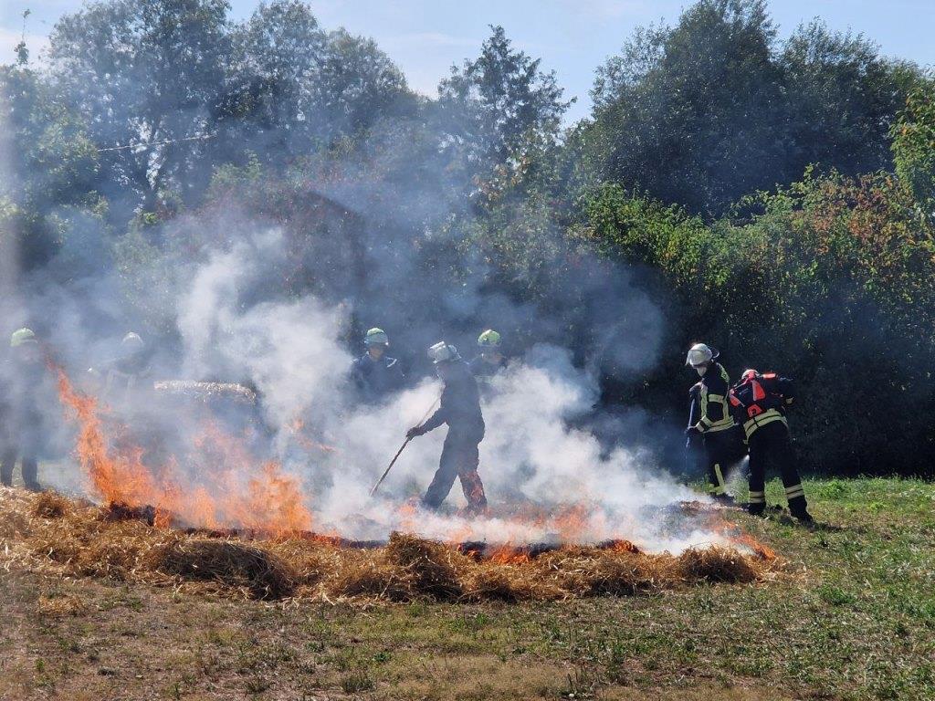 FF MKK Fb Seminar Wald und Vegetationsbrand 2024 099
