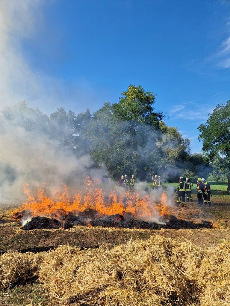 FF MKK Fb Seminar Wald und Vegetationsbrand 2024 100