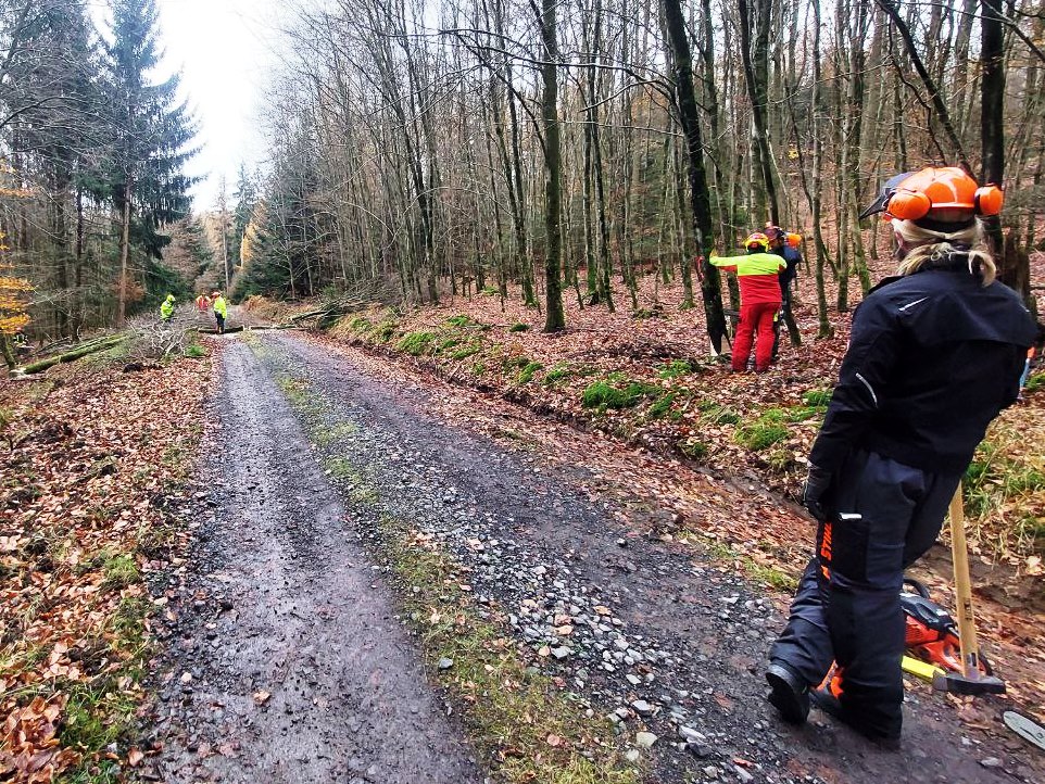 FF MKK Motorkettensaegen Lehrgang 2024 004