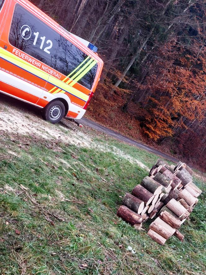 FF MKK Motorkettensaegen Lehrgang 2024 005