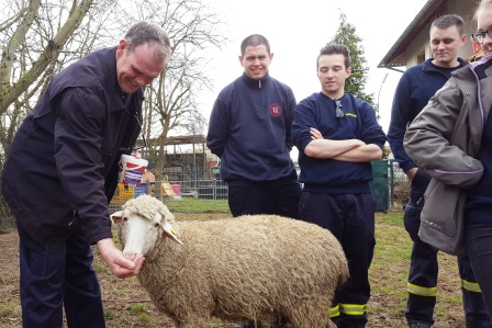 Seminar Tierrettung 2017 009