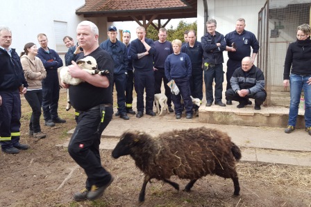 Seminar Tierrettung 2017 010